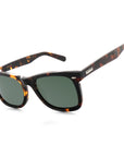 point break sunglasses shiny honet tortoise with smoke polarized lens